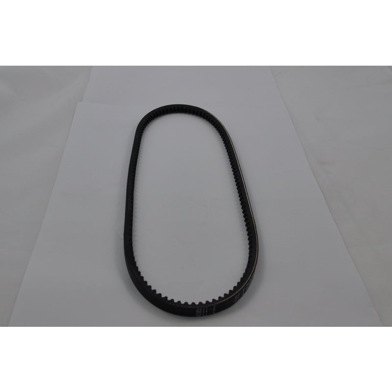 Alamarin Drive belt 10  x 800