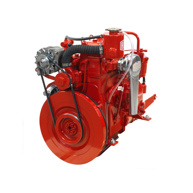 BUKH A/S Motor DV24ME - Untersetzung 2,5 :1