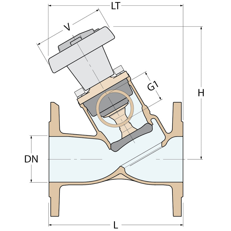 Guidi Antihaft-Doppelventil - DN