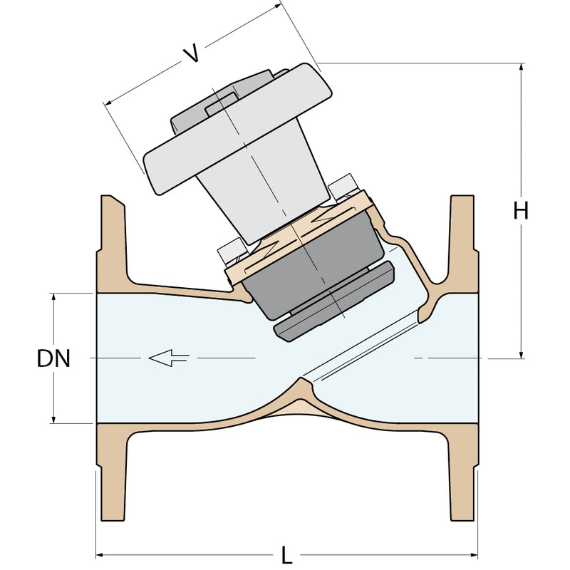 Guidi Antihaft-Ventil - DN 100 PN 16