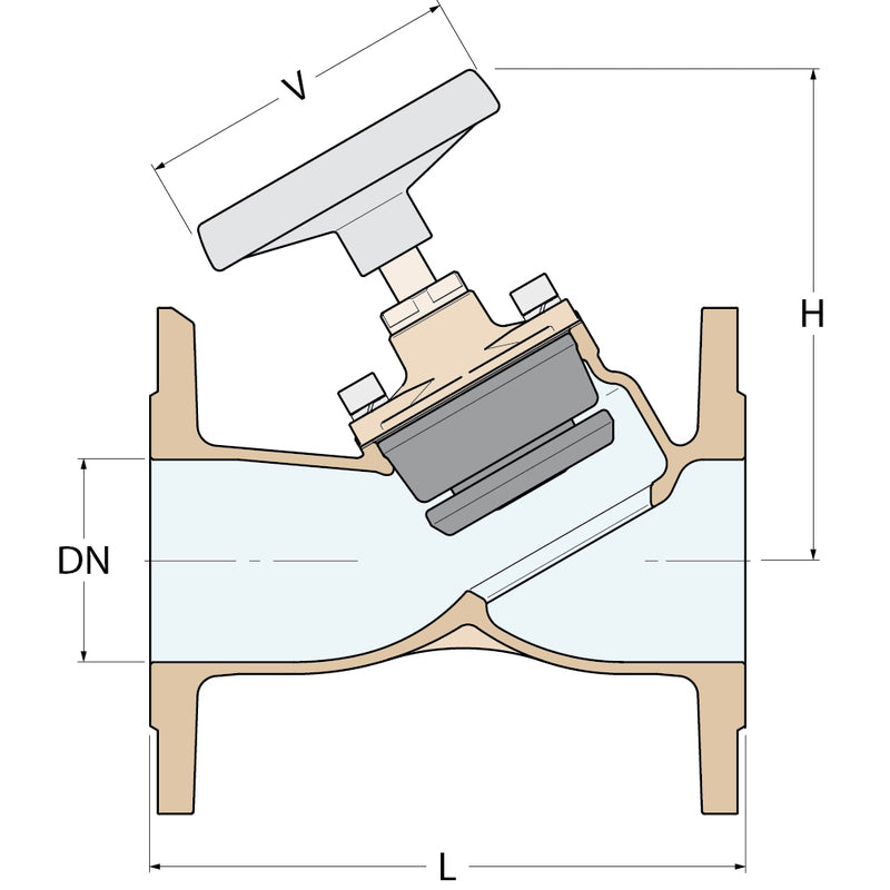 Guidi Antihaft-Ventil - DN 80 PN 16