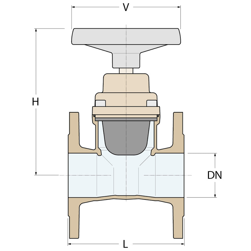 Guidi Antihaft-Ventil „Alex“ - DN80 PN06