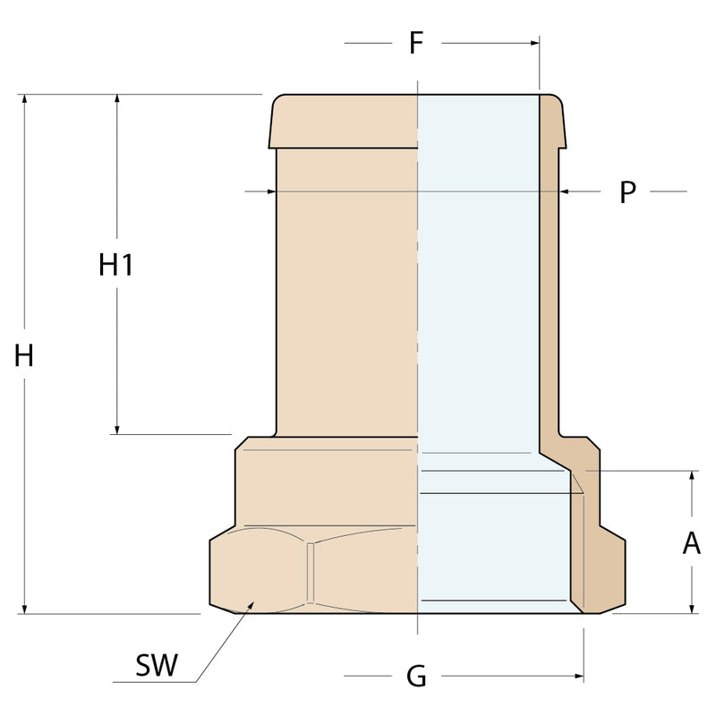 Guidi Schlauchverbinder „Export“ F  - G 1'' P 25