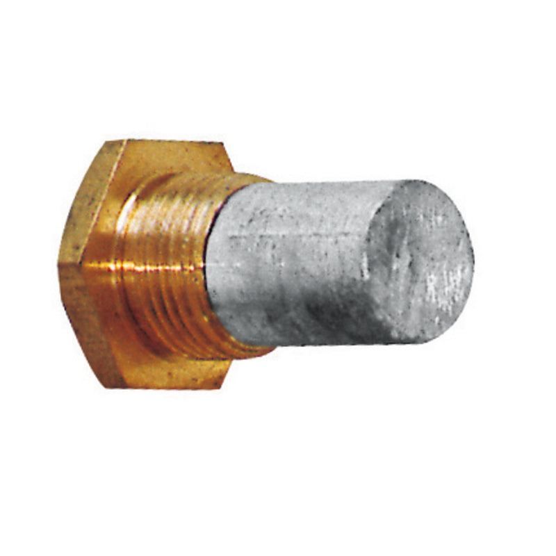 PLASTIMO ANODE CAP RENAULT D.16 X 150