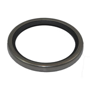 Steyr  DICHTRING, THERMOSTAT